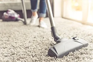 Carpet Cleaning cleaning service preview